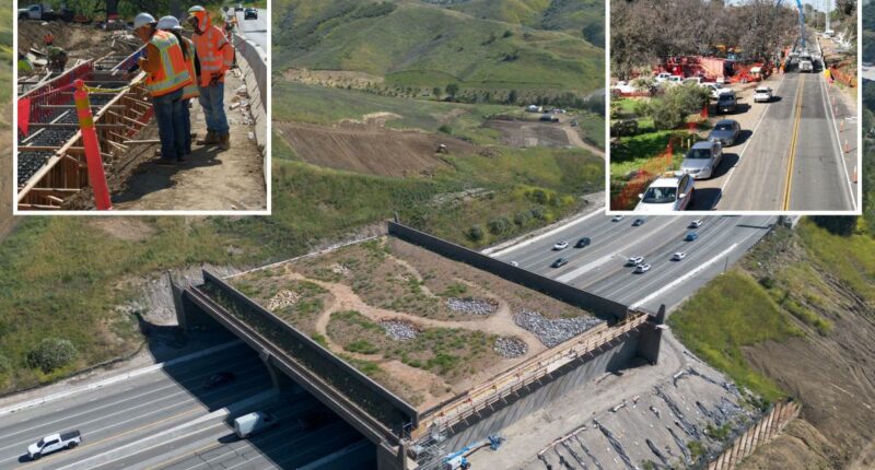 LAâs wildlife crossing bridge could bring traffic to Malibu for months